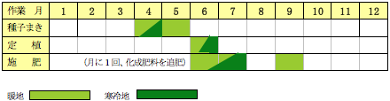 サルビア