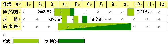 バーベナ