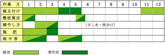 コデマリ