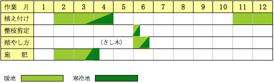 サラサドウダン
